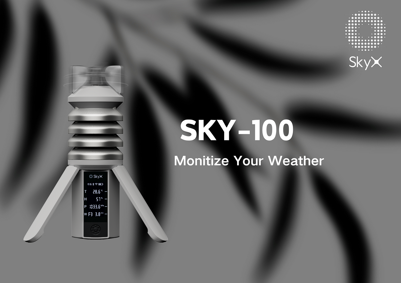 SkyX